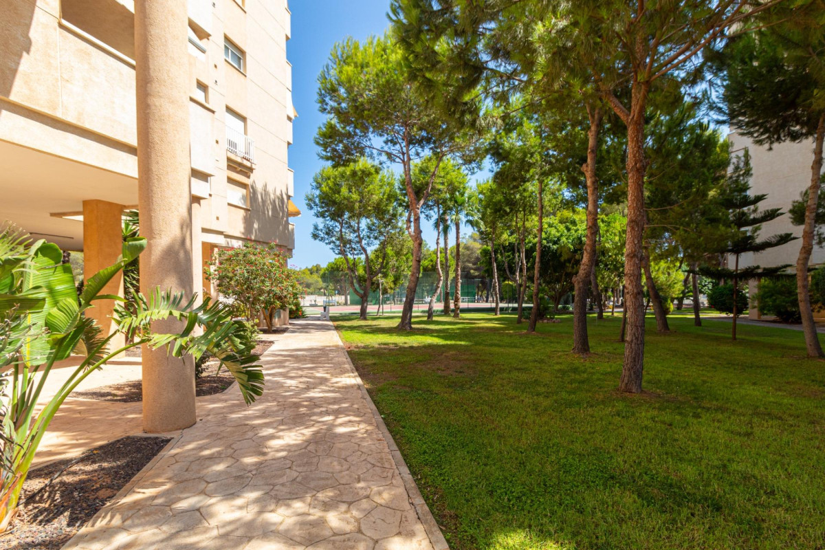Herverkoop - Appartement  - Orihuela Costa - Campoamor