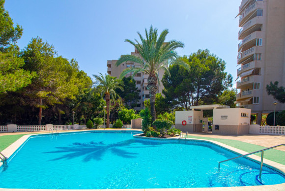 Herverkoop - Appartement  - Orihuela Costa - Campoamor