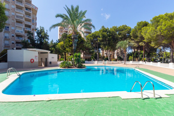 Herverkoop - Appartement  - Orihuela Costa - Campoamor