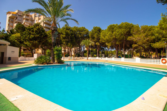 Herverkoop - Appartement  - Orihuela Costa - Campoamor