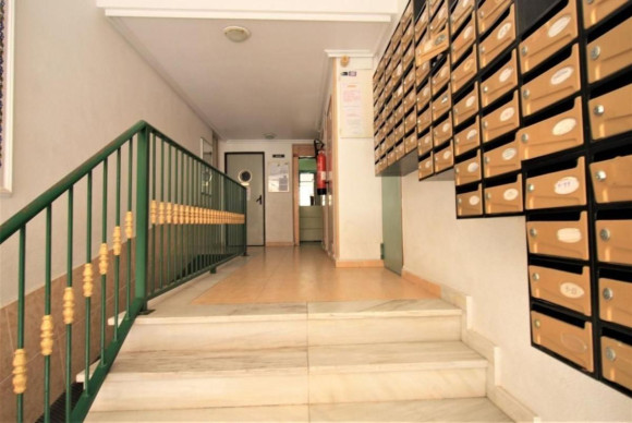Herverkoop - Appartement  - Torrevieja - torrevieja
