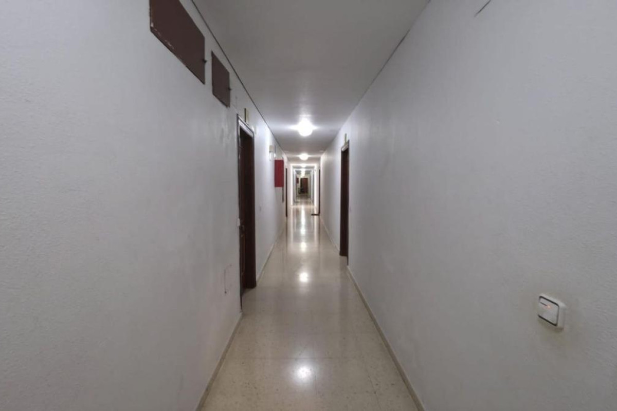 Revente - Appartement - Torrevieja - torrevieja