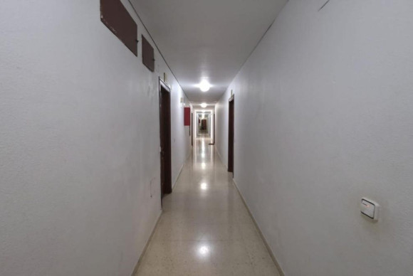 Revente - Appartement - Torrevieja - torrevieja