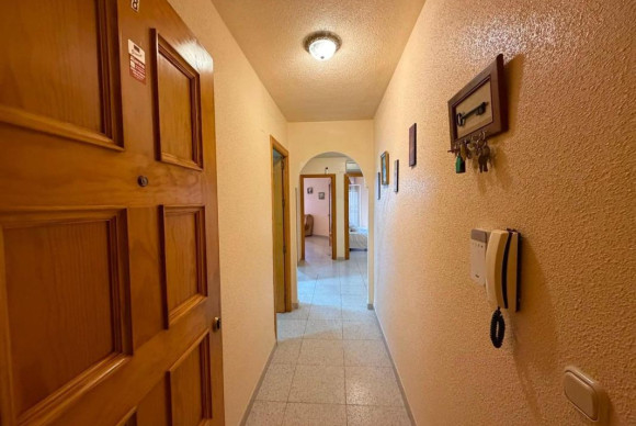 Resale - Apartment  - Torrevieja - torrevieja