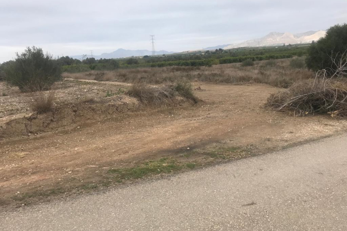 Herverkoop - Terreno - Benferri - HUERTA PUEBLO