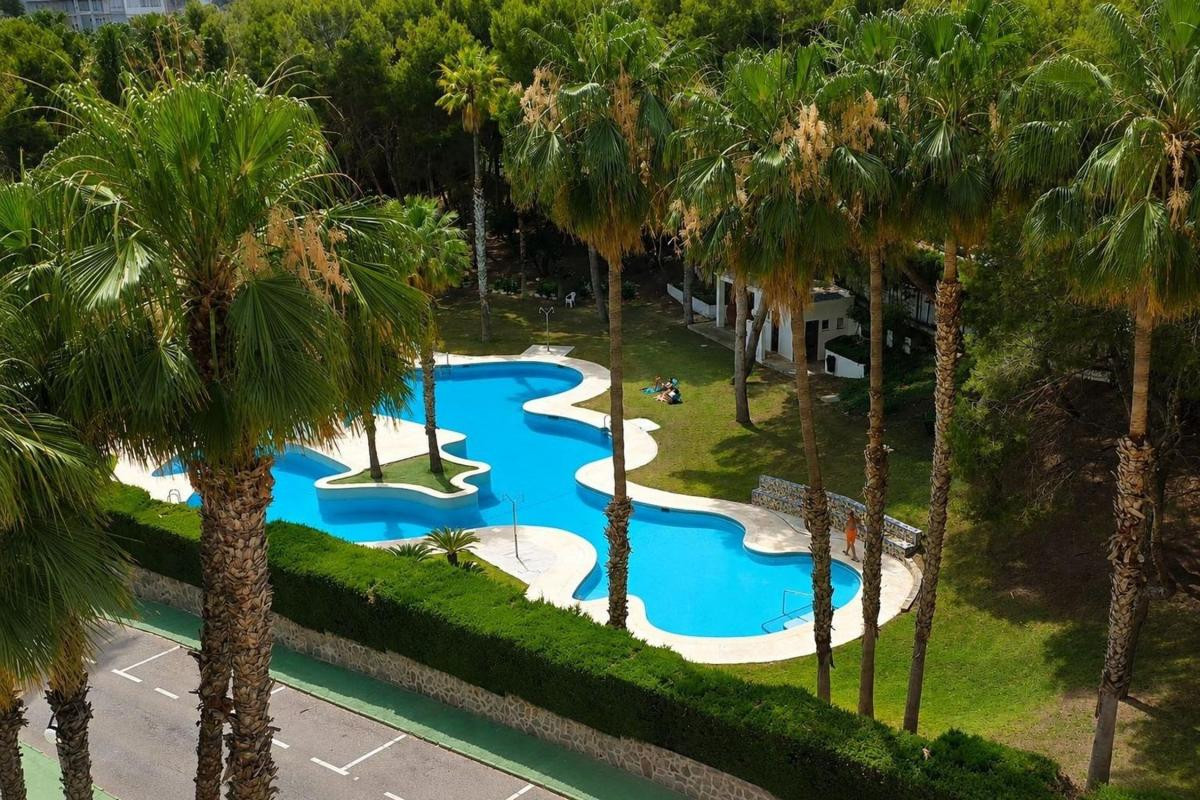 Revente - Appartement - Orihuela