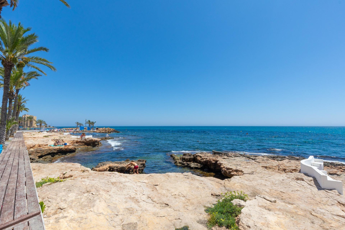 Herverkoop - Appartement - Torrevieja - Paseo maritimo