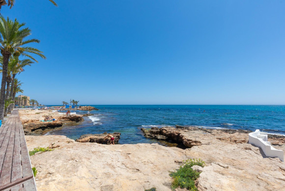 Herverkoop - Appartement - Torrevieja - Paseo maritimo