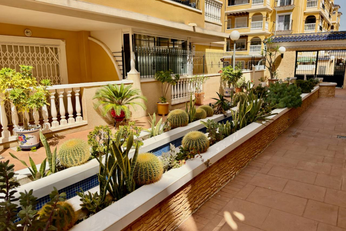 Herverkoop - Appartement  - Algorfa