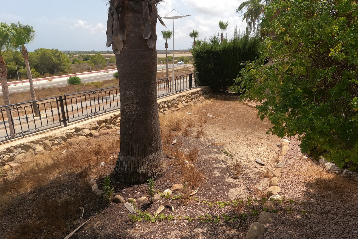 Herverkoop - Appartement  - Algorfa - La Finca Golf Resort
