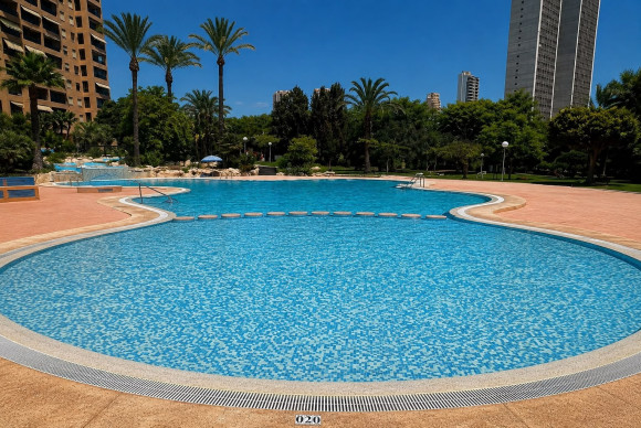 Herverkoop - Apartment / flat - Benidorm - Zona de Poniente