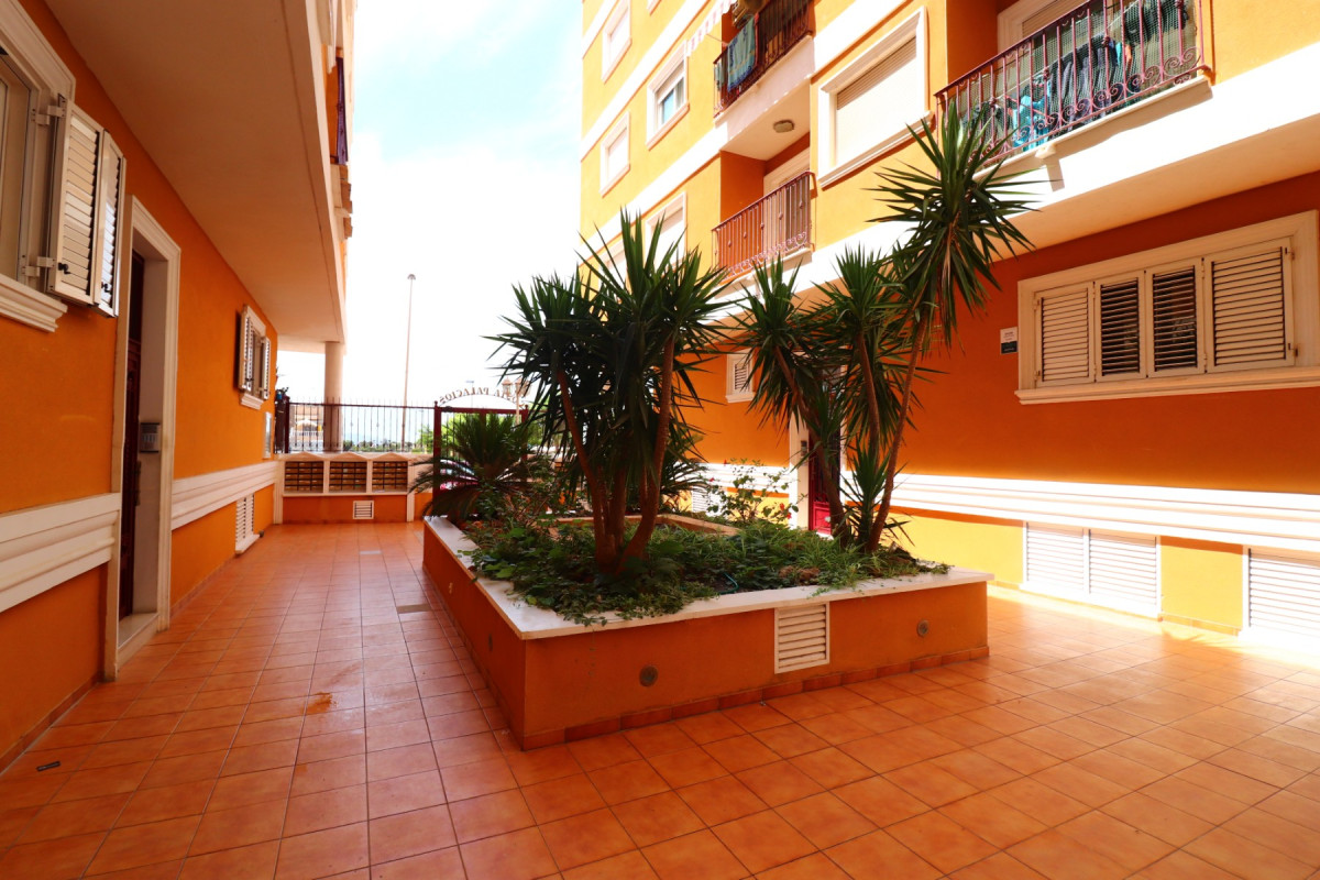 Herverkoop - Appartement  - Rojales - Los Palacios