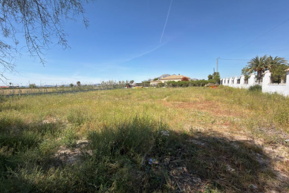 Resale - Finca / Country Property - Catral