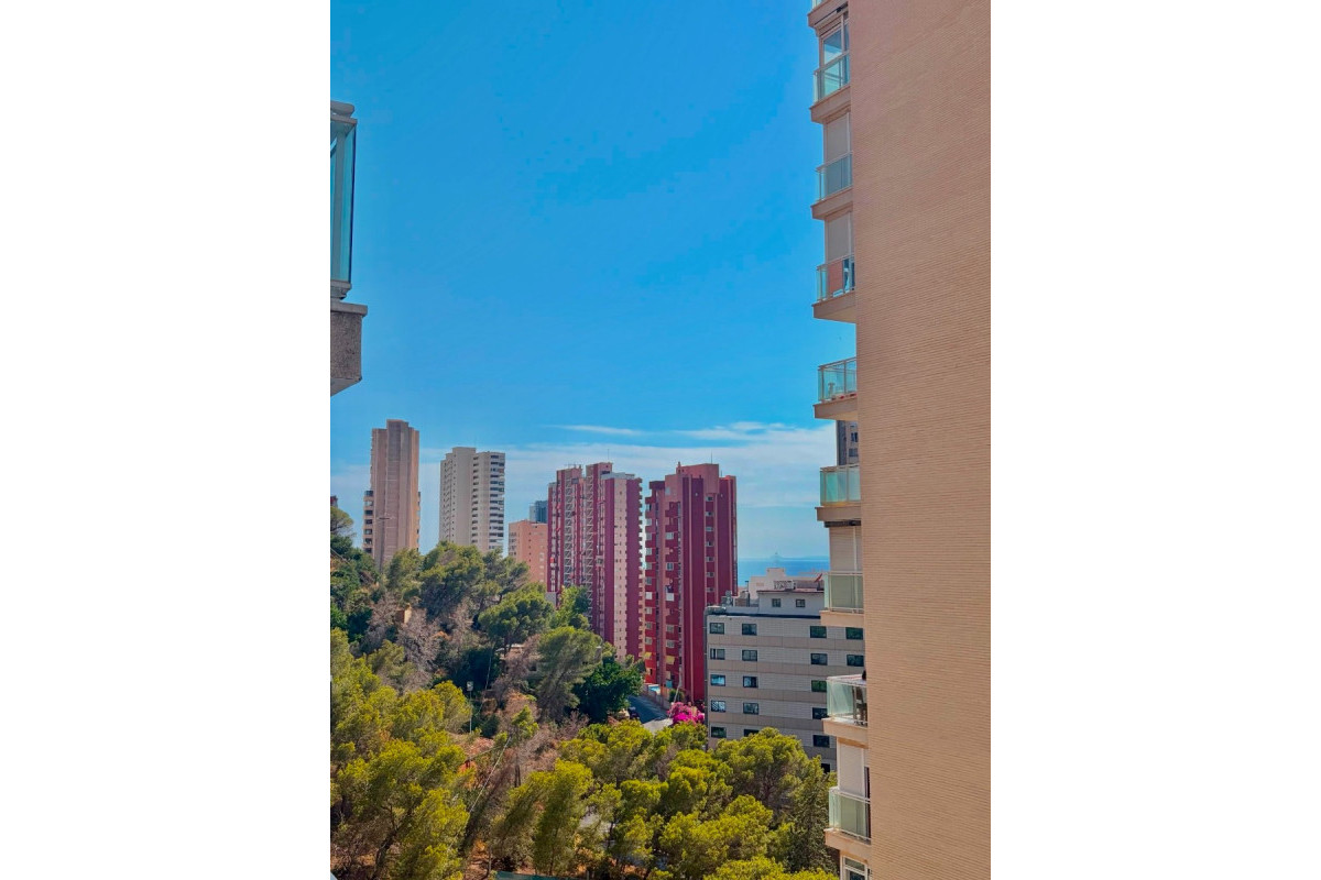 Herverkoop - Apartment / flat - Benidorm - Rincón de Loix