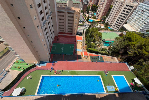 Herverkoop - Apartment / flat - Benidorm - Rincón de Loix