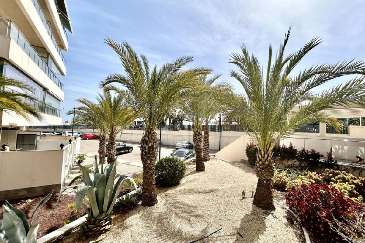 Herverkoop - Appartement  - Orihuela