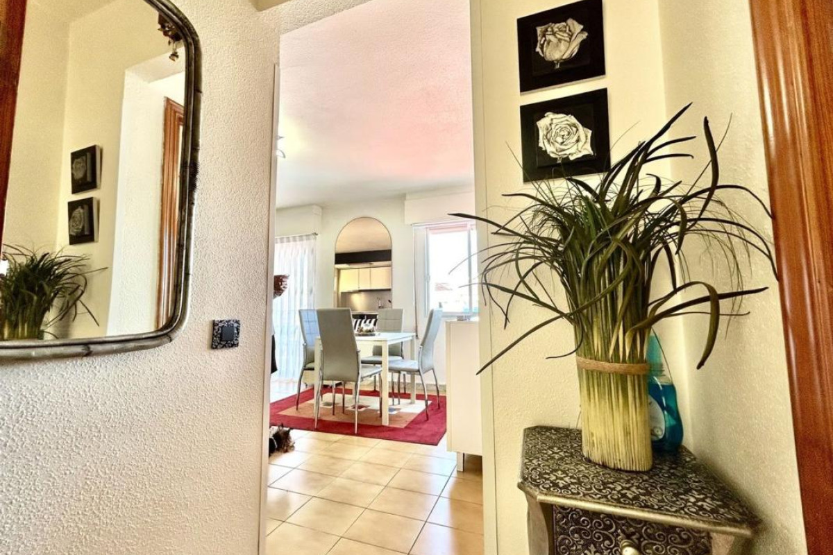 Reventa - Apartamento / piso - Torrevieja - torrevieja
