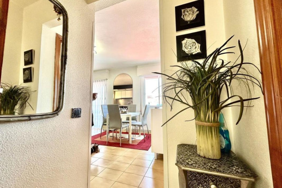 Reventa - Apartamento / piso - Torrevieja - torrevieja