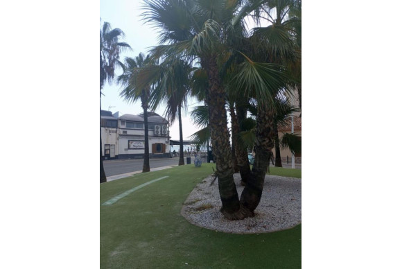 Revente - Appartement - San Javier