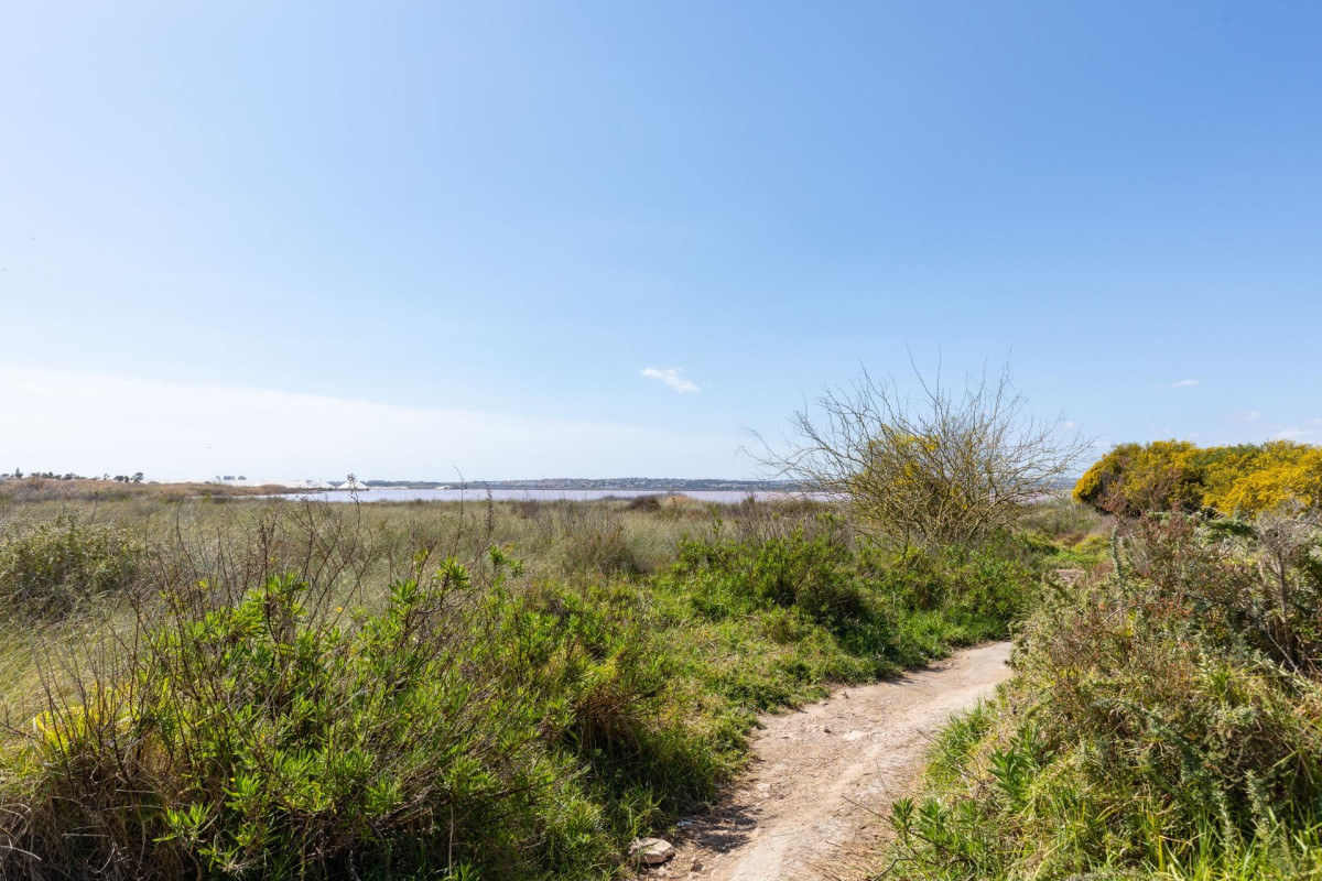 Reventa - Bungalow - Torrevieja - Torretas