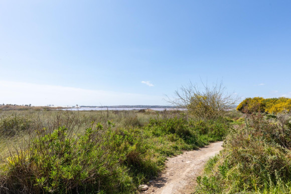 Reventa - Bungalow - Torrevieja - Torretas