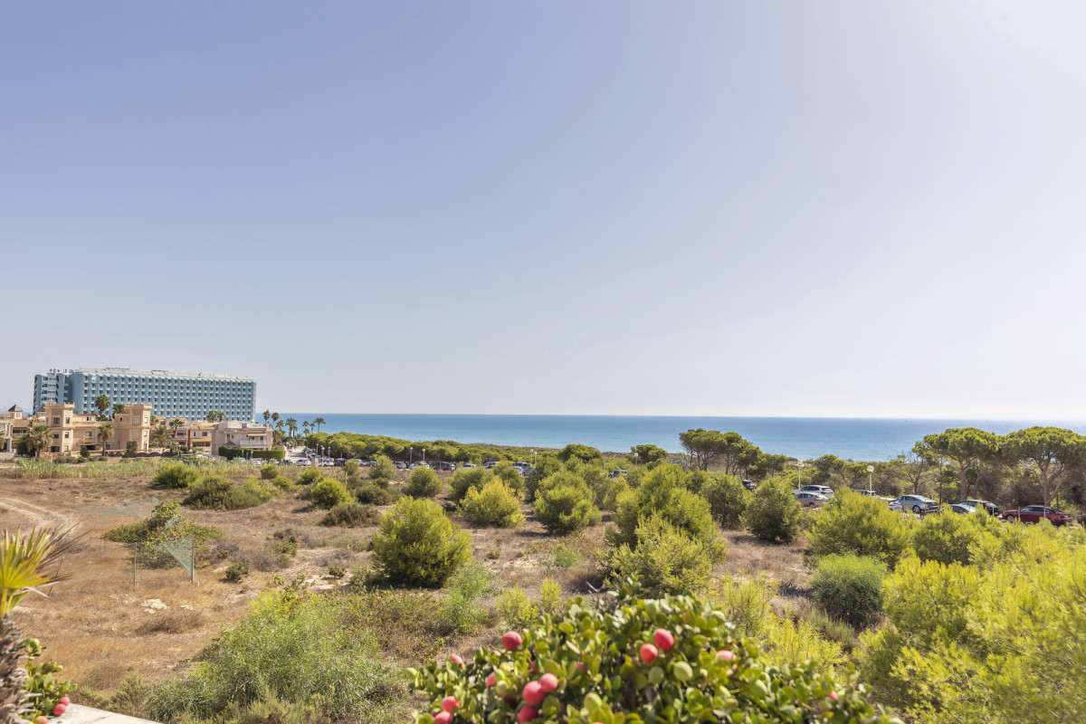 Reventa - Apartamento / piso - Guardamar del Segura - Campomar