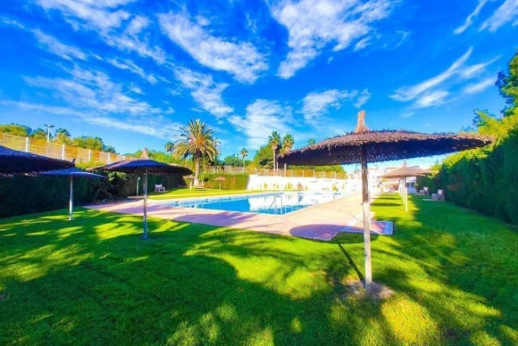 Herverkoop - Appartement  - Torrevieja - torrevieja