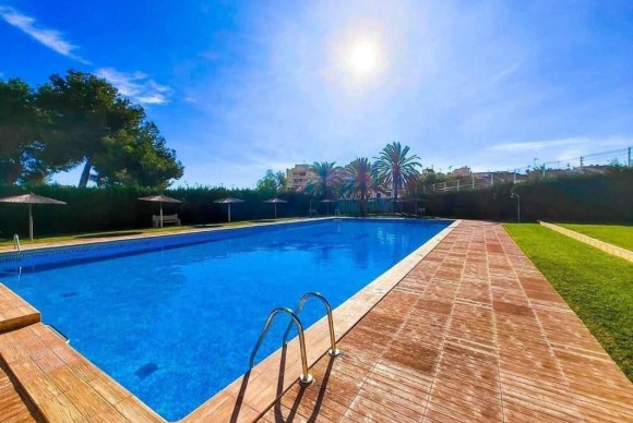 Herverkoop - Appartement  - Torrevieja - torrevieja