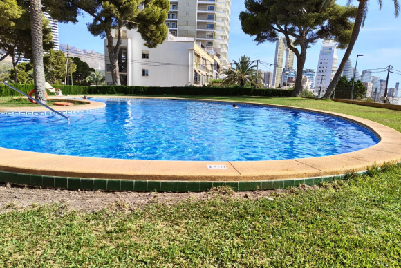 Herverkoop - Apartment / flat - Benidorm - Zona de Poniente
