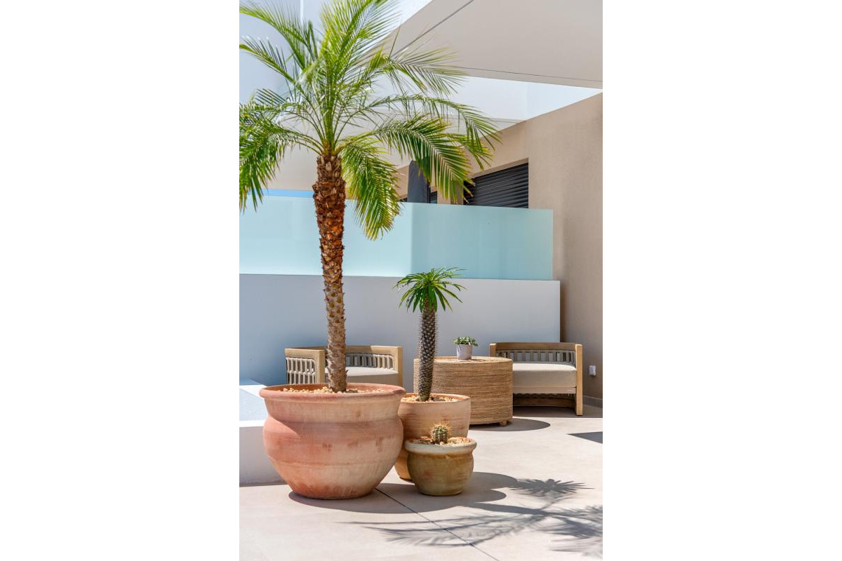 Nouvelle construction - Villa - Dolores - dolores