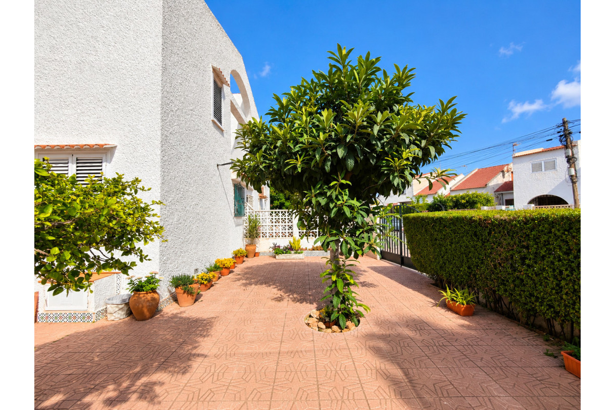 Revente - Maison de ville - Torrevieja - Torrevieja - Centre