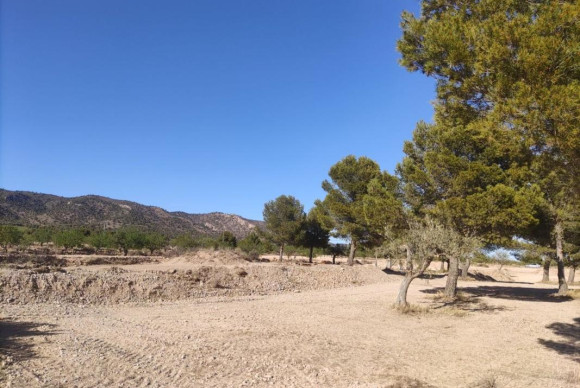 Reventa - Parcela / Terreno - Pinoso