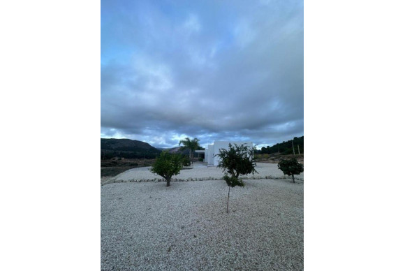 Reventa - Villa - Pinoso