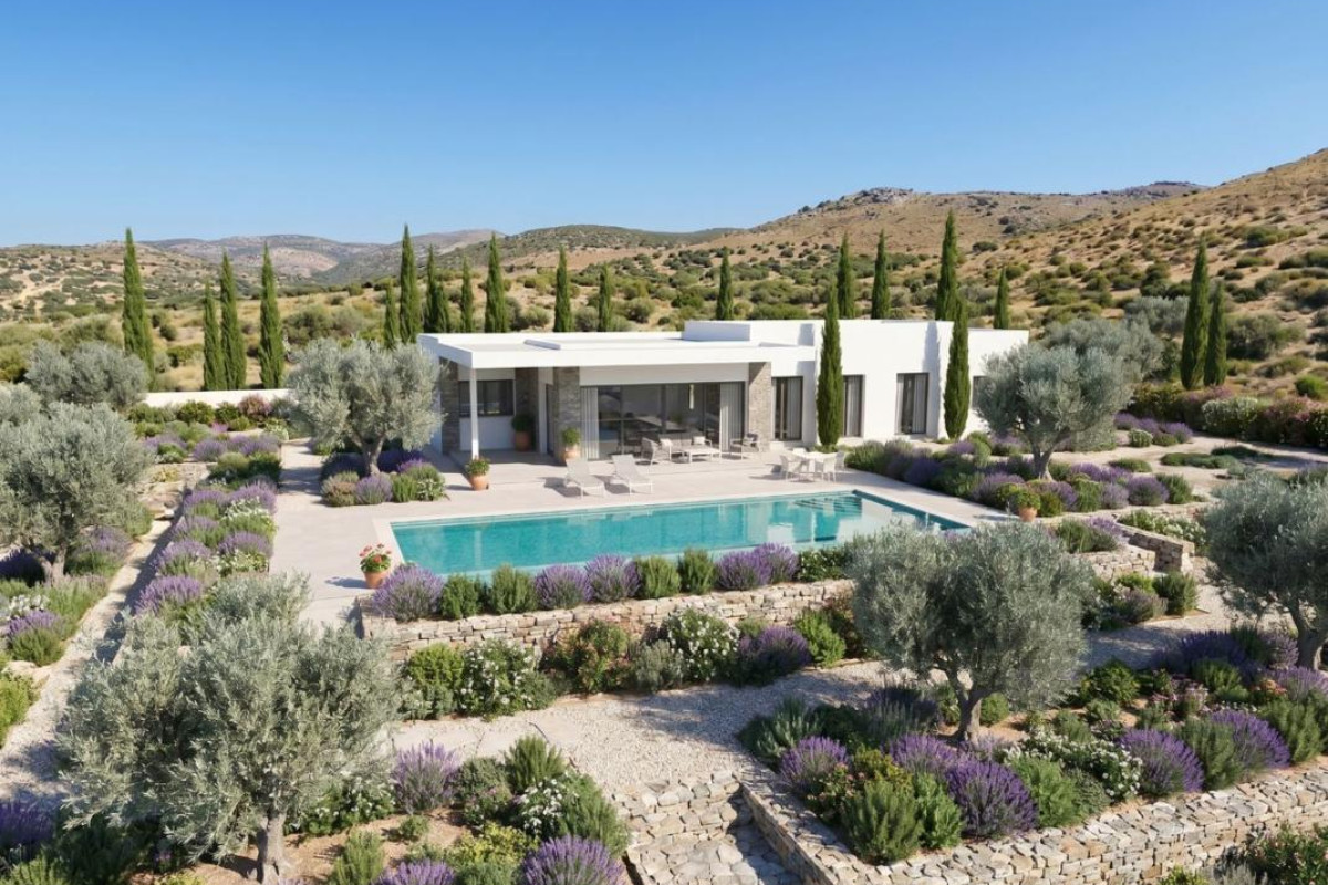 Reventa - Villa - Pinoso