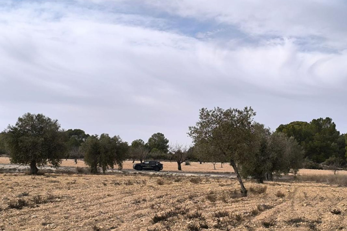Revente - casas - Monovar