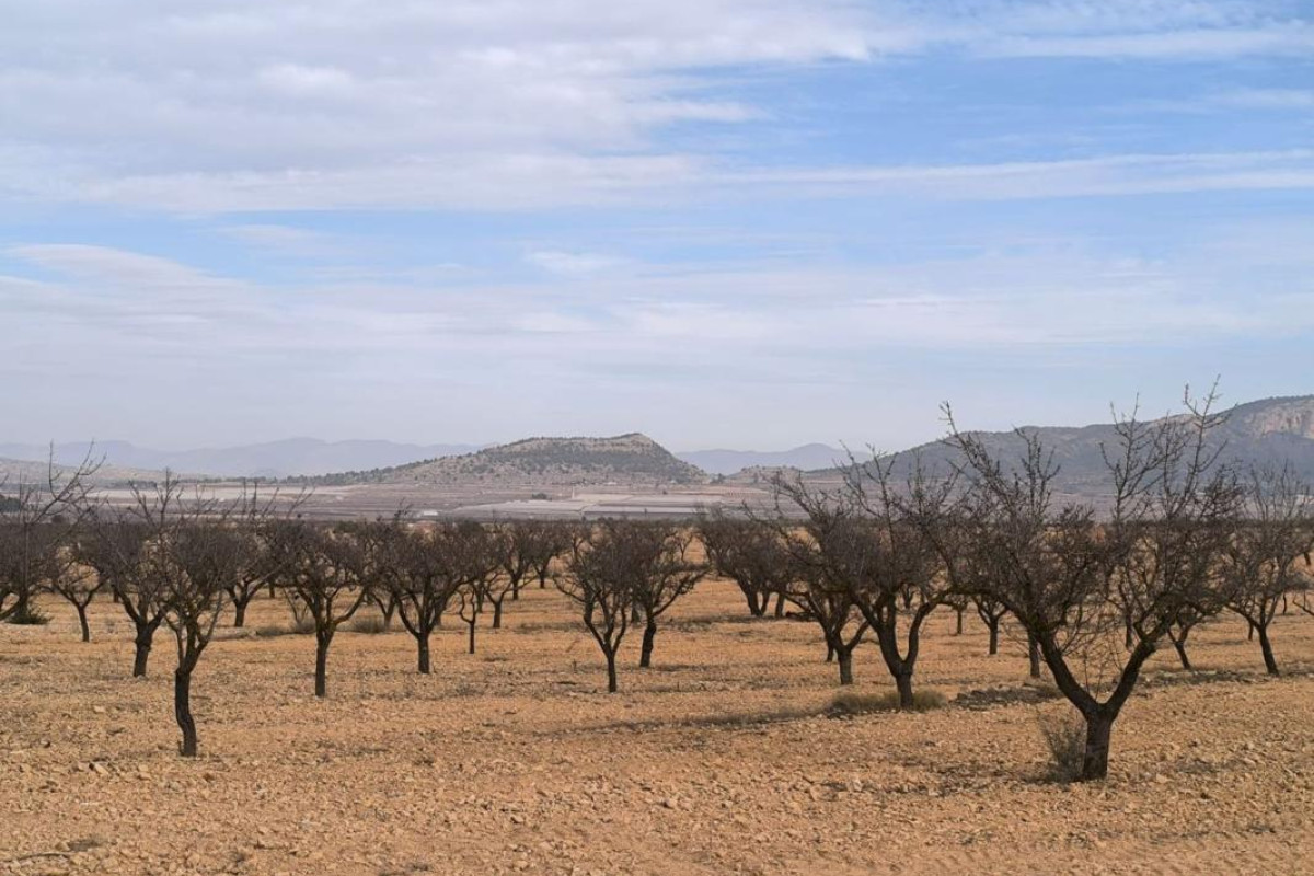 Revente - casas - Monovar
