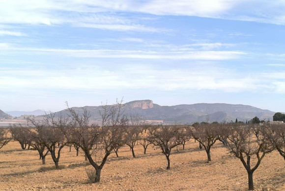 Revente - casas - Monovar