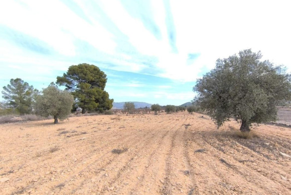 Revente - casas - Monovar