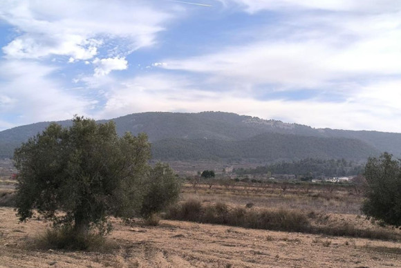 Reventa - casas - Monovar