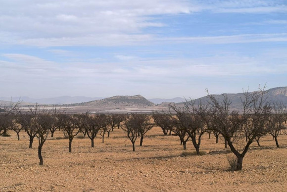 Reventa - casas - Monovar