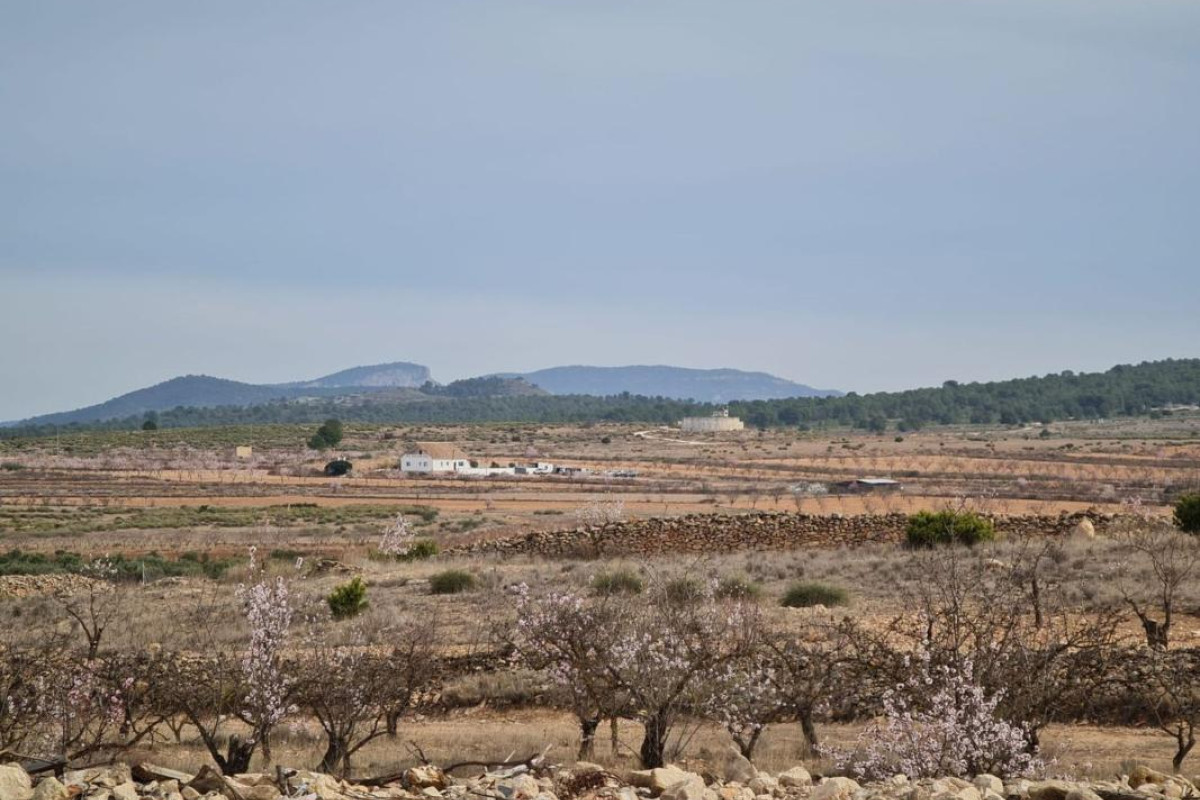 Revente - casas - Pinoso