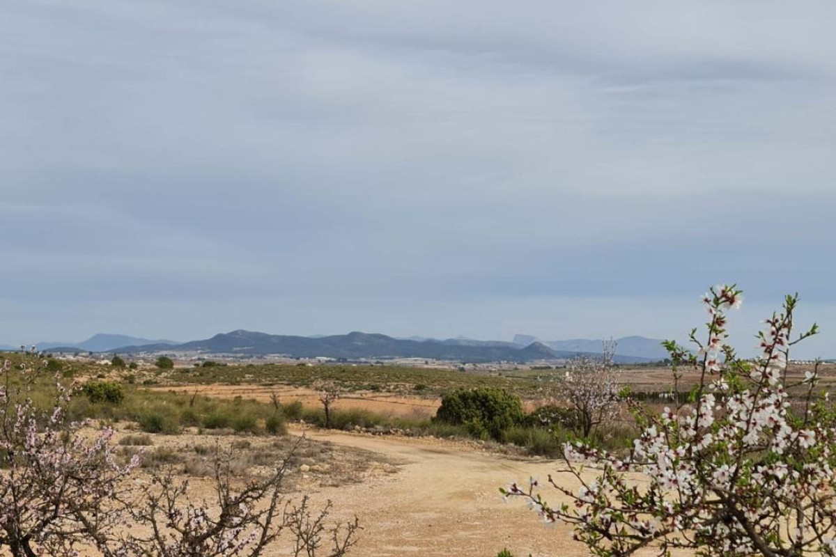 Revente - casas - Pinoso