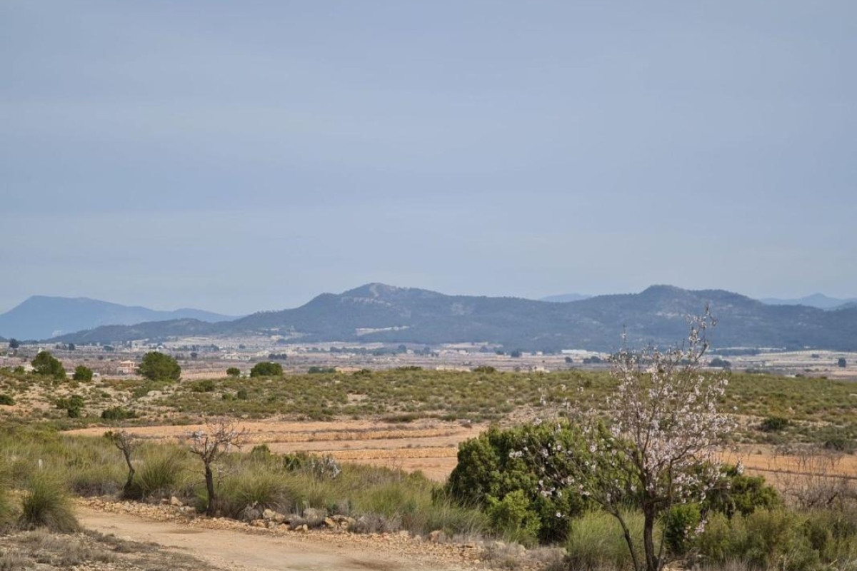Revente - casas - Pinoso