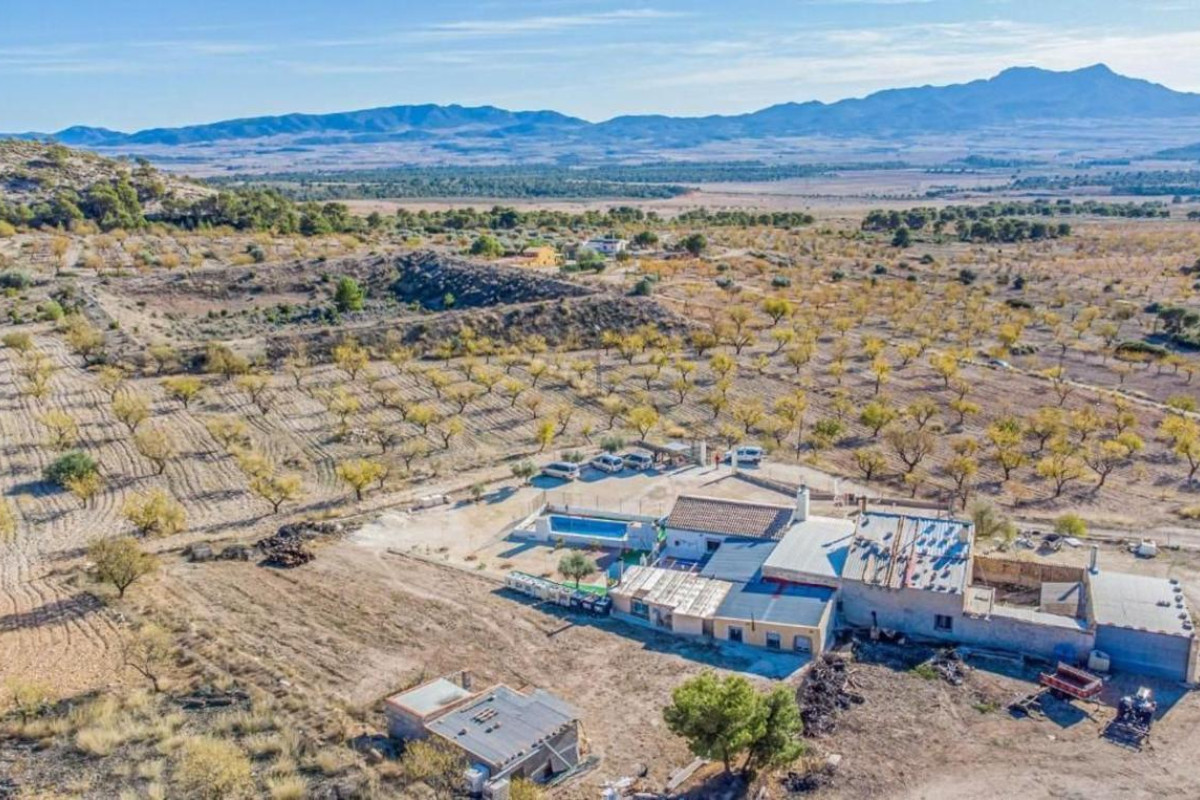 Reventa - casas - Pinoso