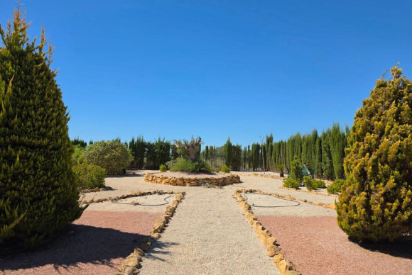 Reventa - casas - Pinoso