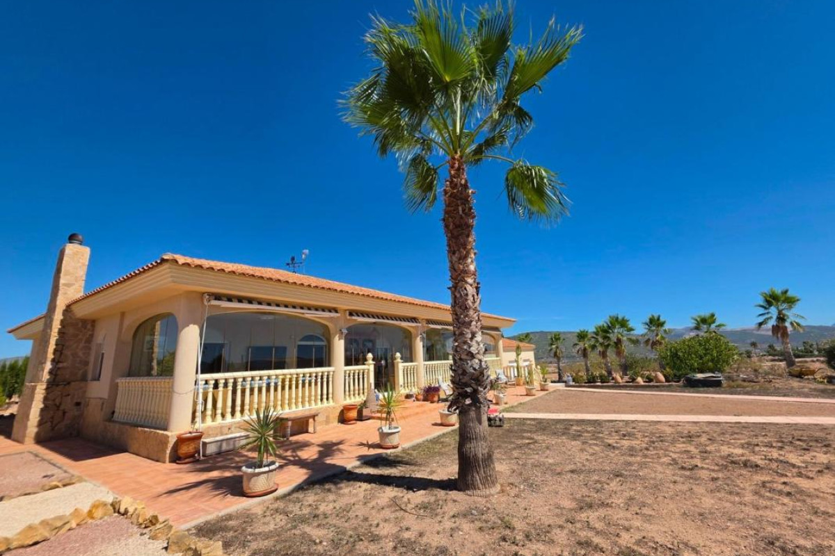 Reventa - casas - Pinoso