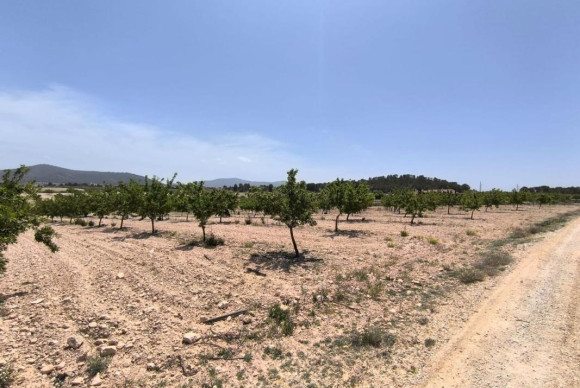 Resale - Plot / Land - Pinoso