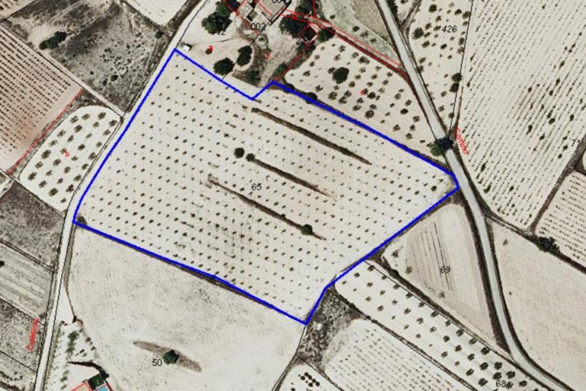 Resale - Plot / Land - Pinoso