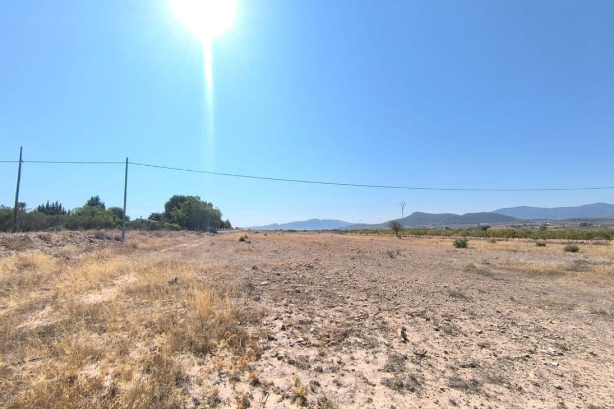 Resale - land - Pinoso