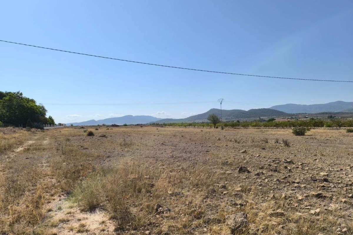 Resale - land - Pinoso
